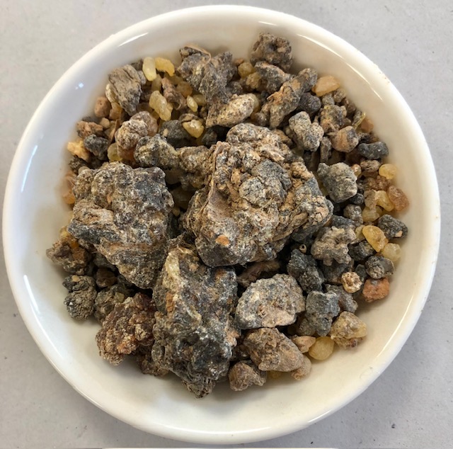 Tömjén gyanta - Szomália Ogaden - Boswellia rivae